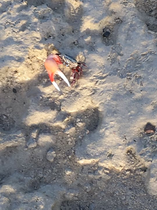 Strand Casa Mare Resort