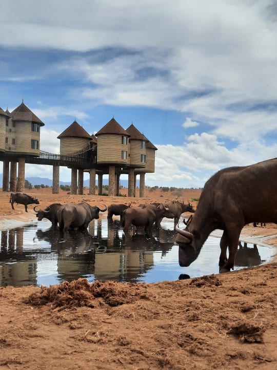 Sport & Freizeit Taita Hills Safari Resort & Spa