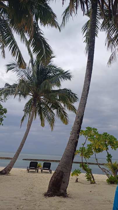 Außenansicht Kuredu Island Resort & Spa