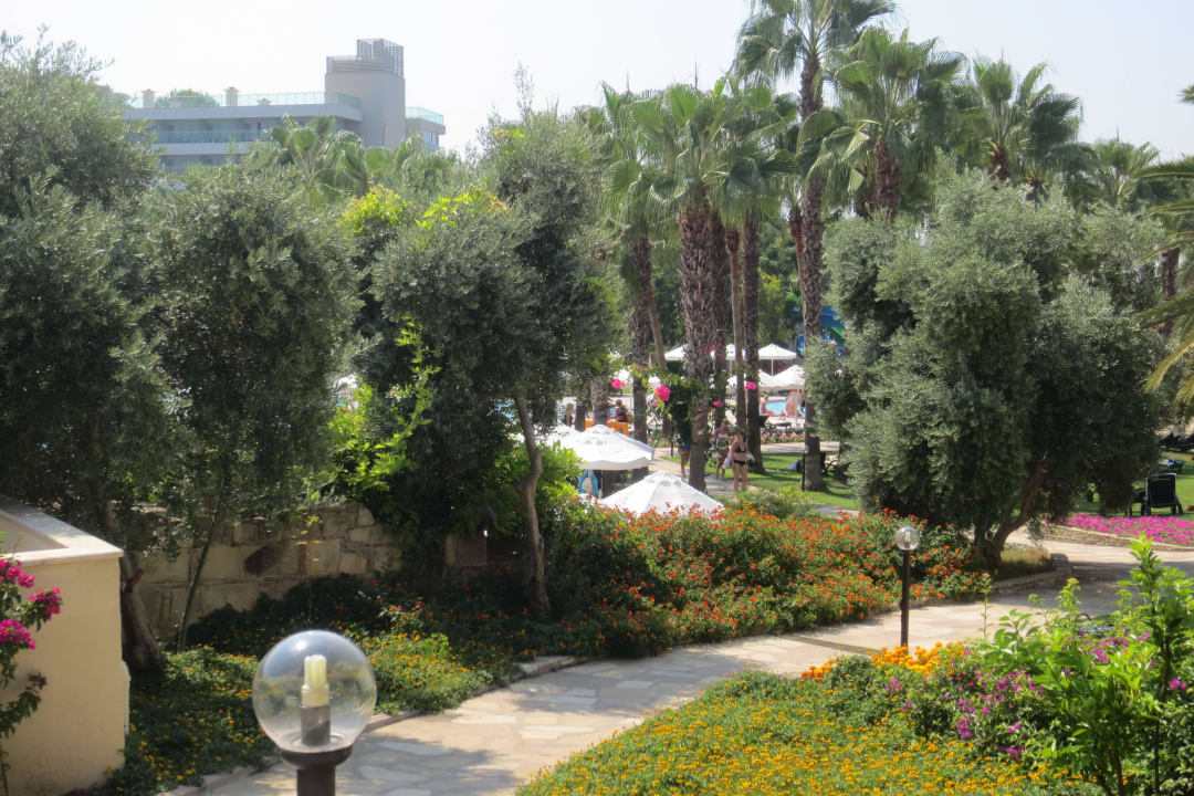 Garten Arum Barut Collection