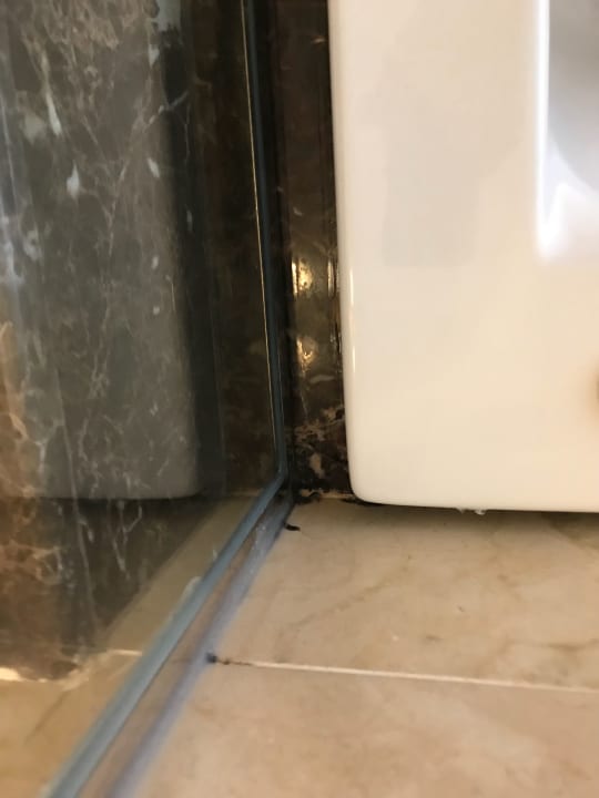 Gartenanlage Hotel Grand Palladium Palace Resort, Spa & Casino