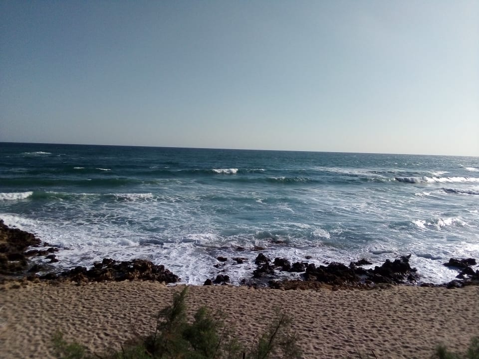Ausblick Alexander Beach Hotel & Village Resort