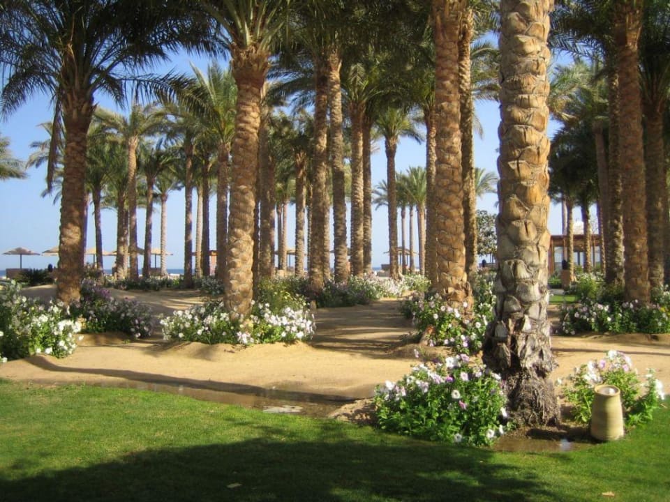 Garten vom Makadi Palace und Grand Makadi Makadi Palace