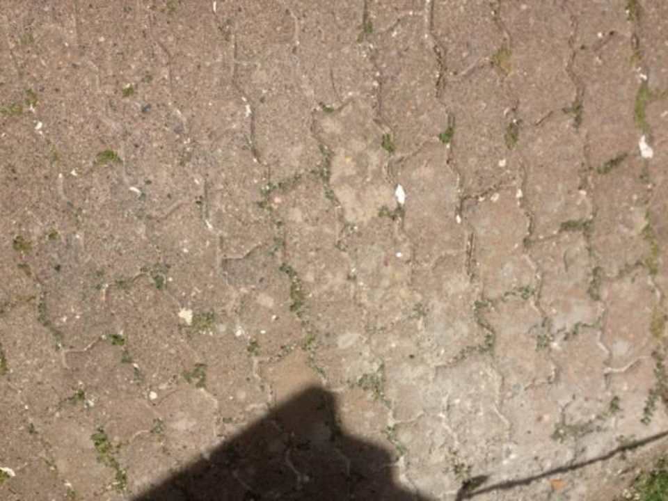 Holpriger Weg Wyndham Alltra Samana