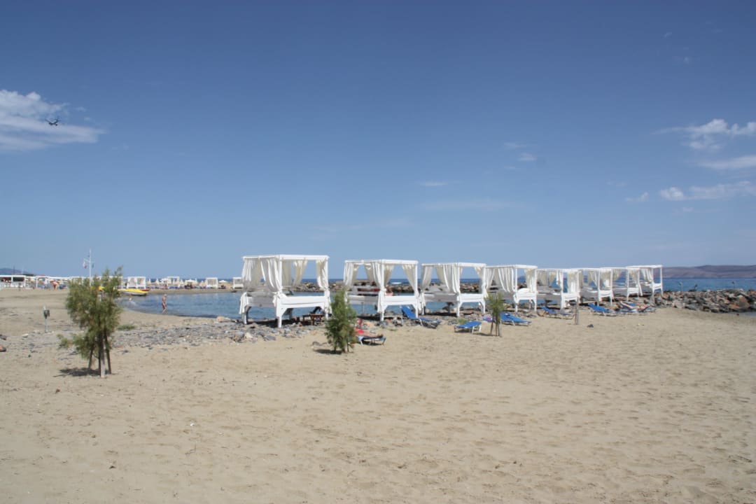 Strandliegen für Suite-Bewohner Knossos Beach Bungalows Suites Resort & Spa