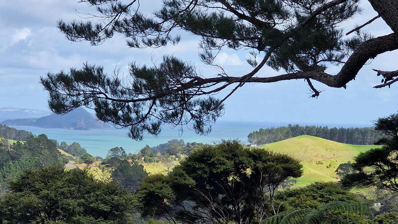 Ausblick Apartments Coromandel