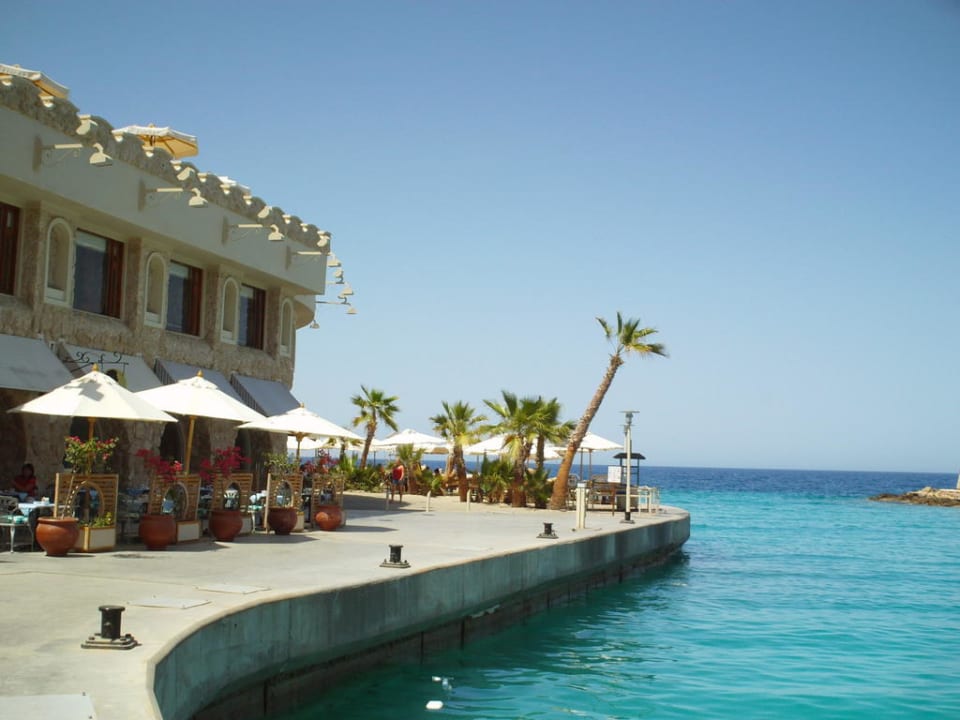 Cafe Mozart  Pickalbatros Citadel Resort