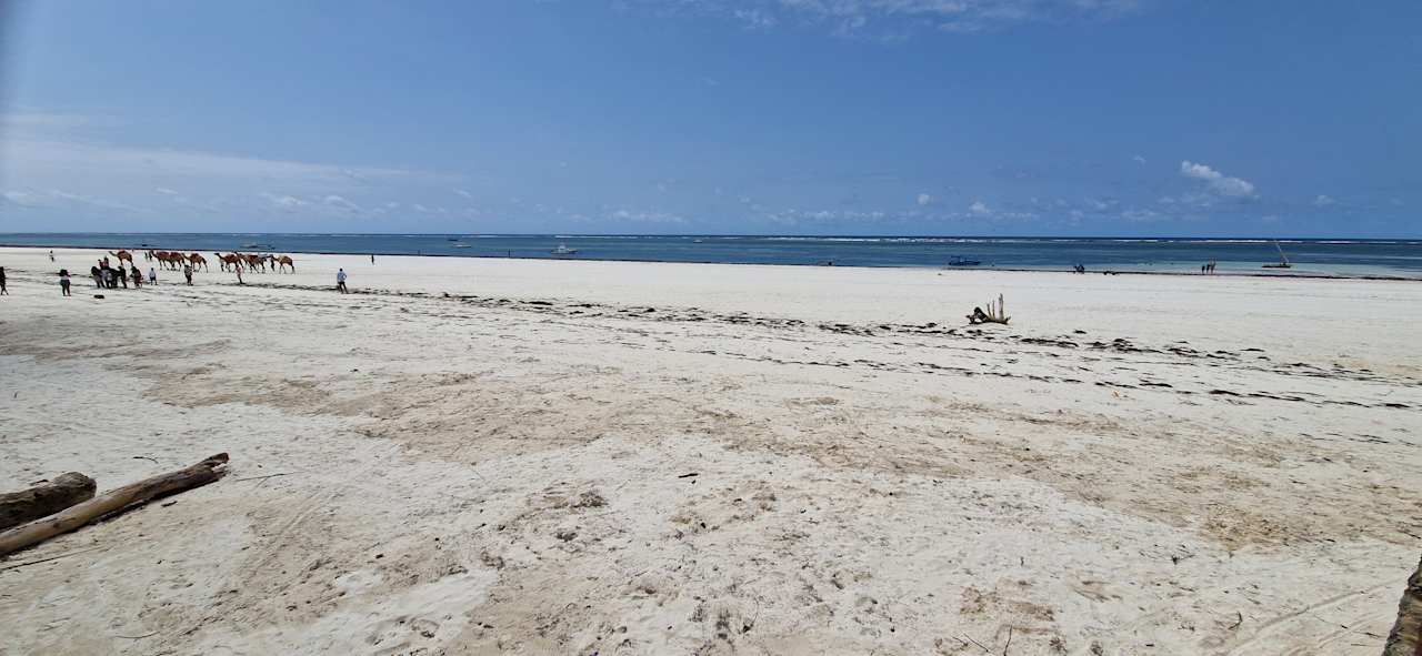 Strand Baobab Beach Resort & Spa