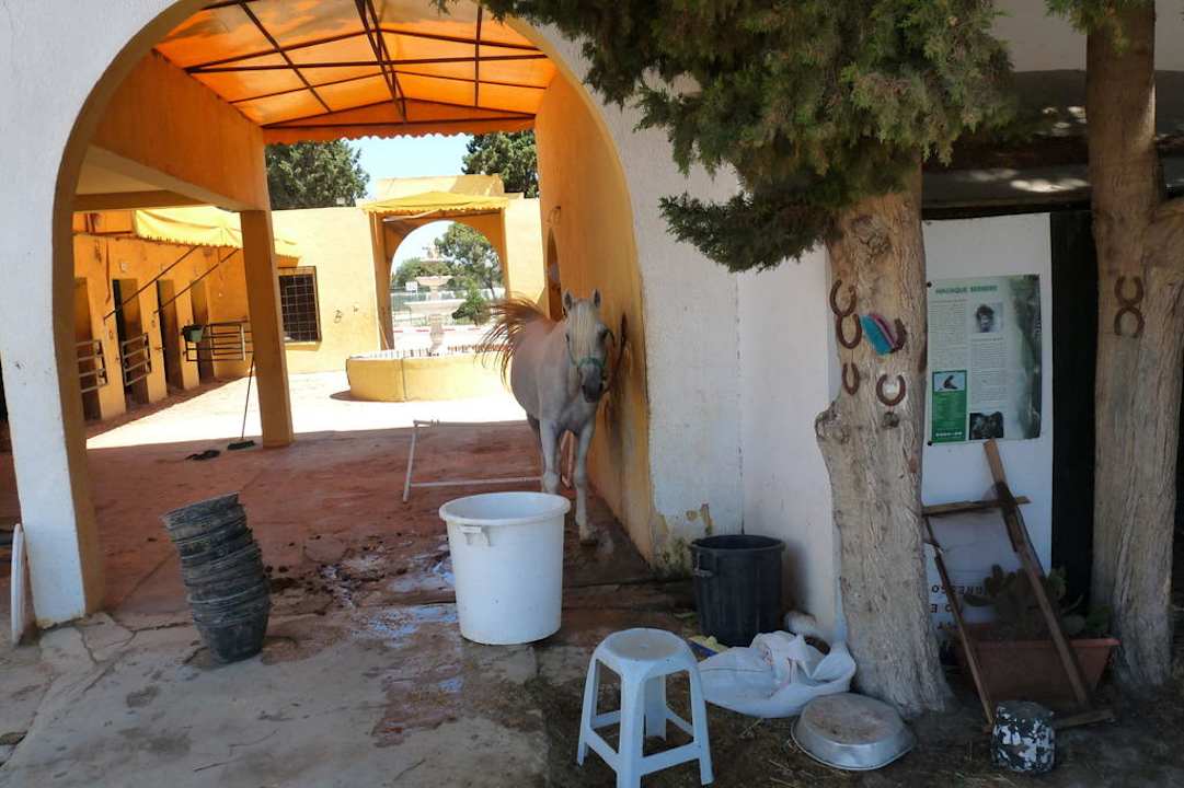 Stallungen am Hotel Hotel El Mouradi Cap Mahdia