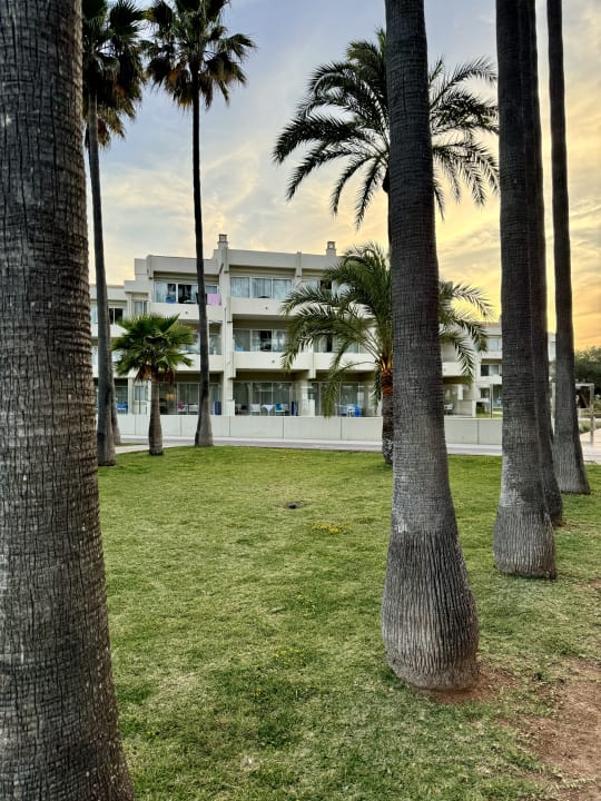 Gartenanlage Hipotels Mediterraneo Club