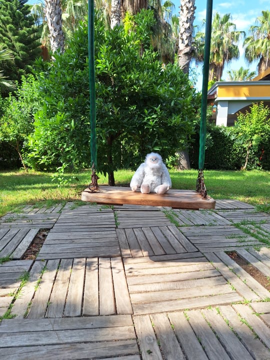 Gartenanlage Hane Family Resort