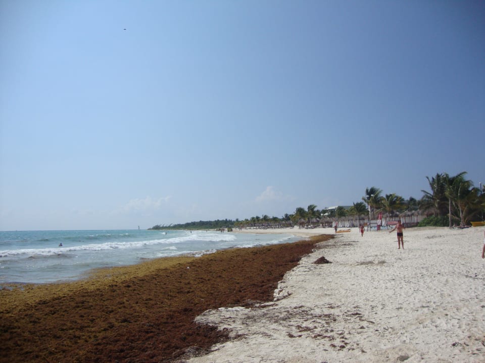 Bei den Nachbarn geht's Catalonia Playa Maroma