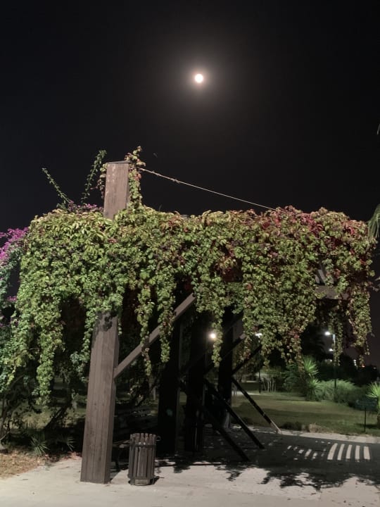 Gartenanlage Sunis Evren Beach Resort Hotel & Spa