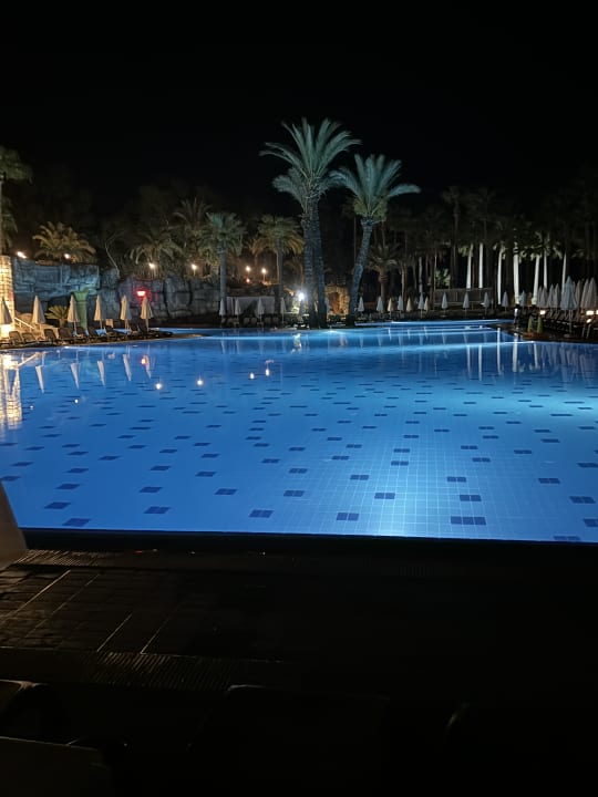 Pool Monachus Family Resort Sorgun