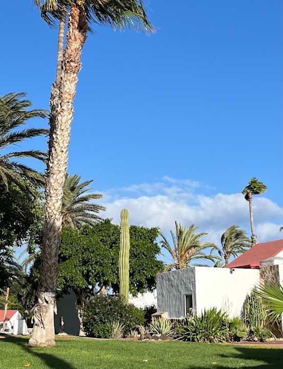Gartenanlage Aldiana Club Fuerteventura
