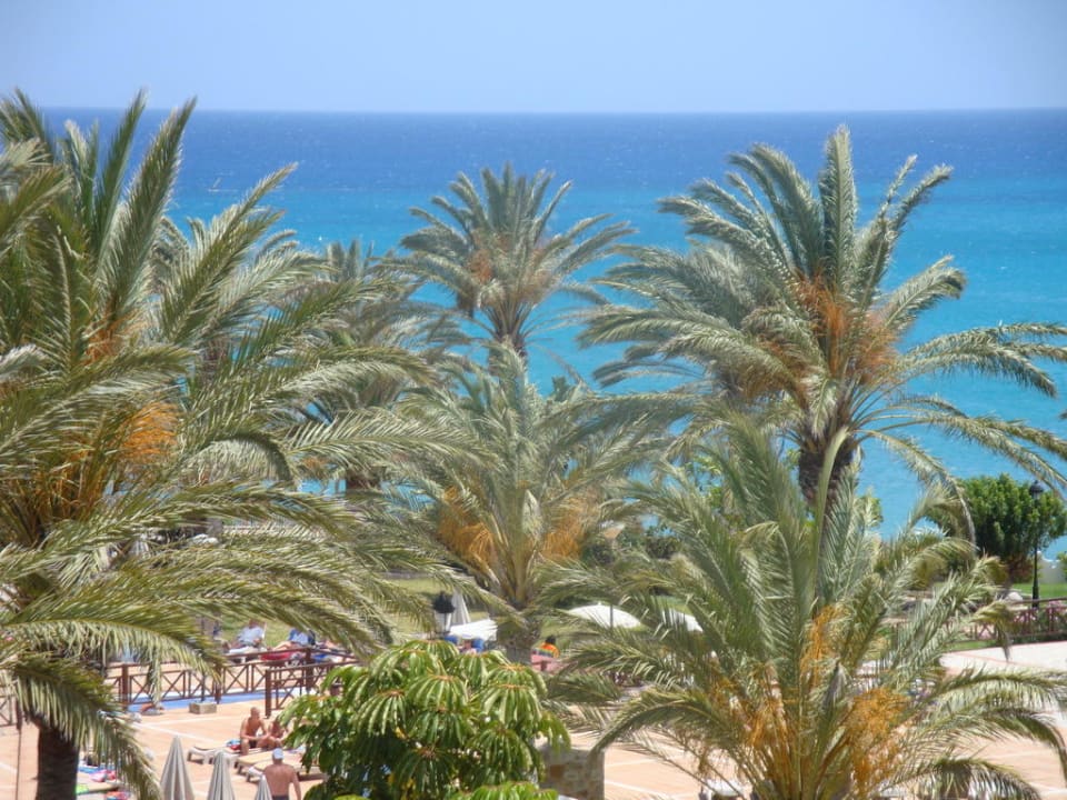 Widok SBH Costa Calma Beach Resort