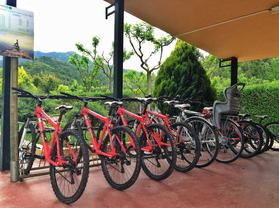 Rent a Mountain Bike - Alquiler de bicicletas Bungalows Bassegoda Park