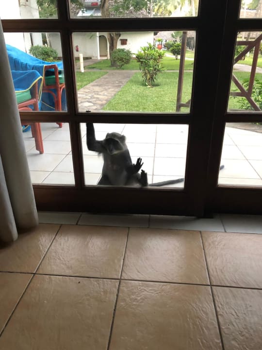 Ausblick Neptune Village Beach Resort & Spa