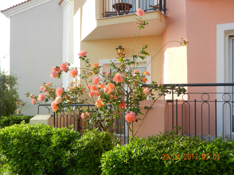 Gartenanlage Hotel Sunrise Resort