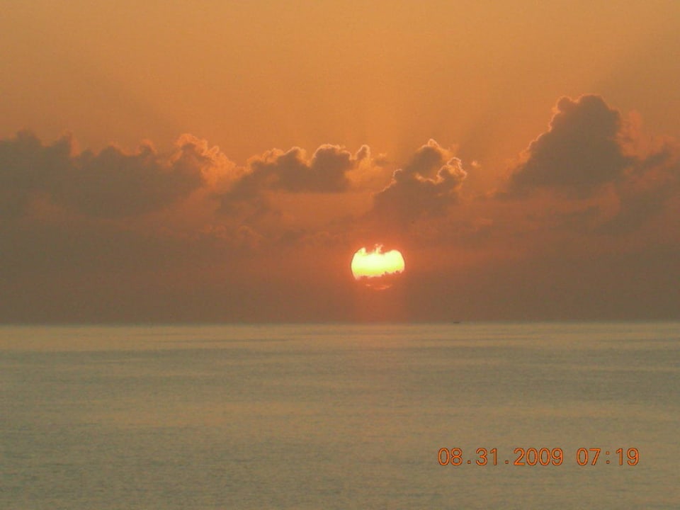 Am Strand Hipotels Hipocampo Playa