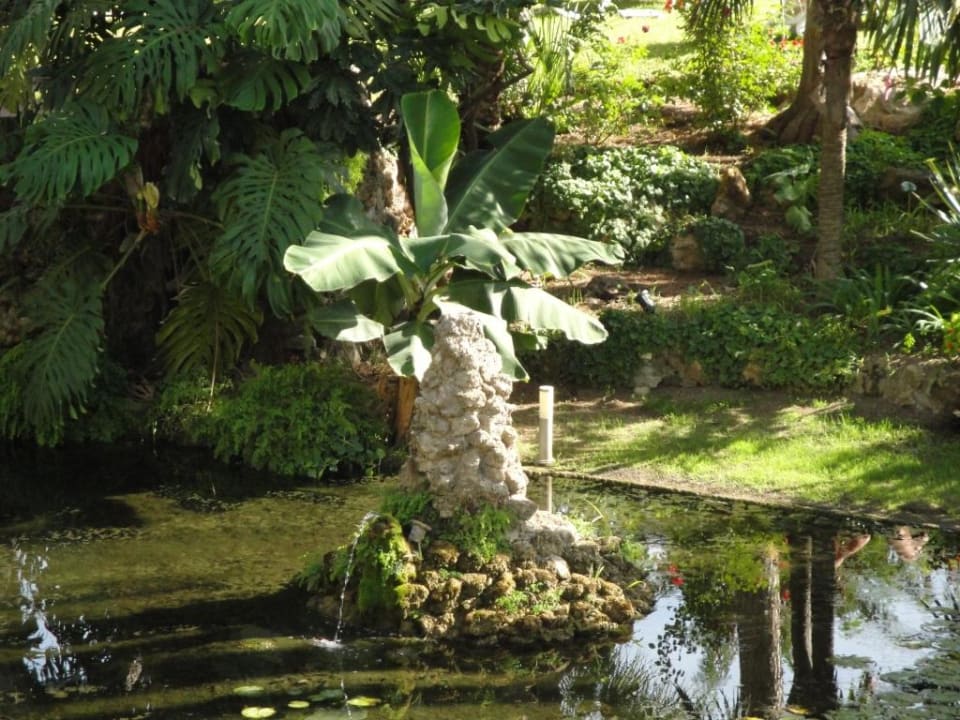 Ogród BLUESEA Al Andalus