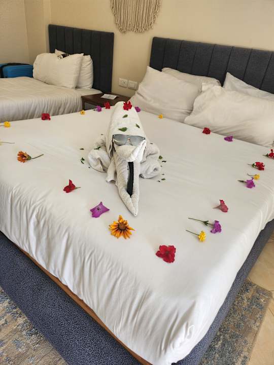 Zimmer Regina Resort and Aqua Park Hurghada