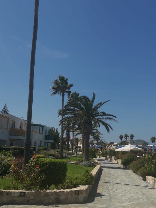 Gartenanlage Hotel Mastichari Beach