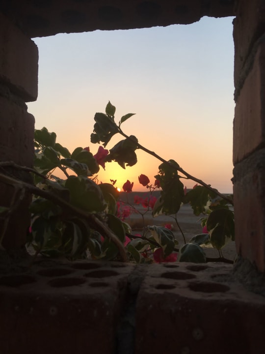 Ausblick Shams Alam Beach Resort