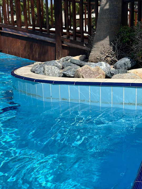 Pool Dizalya Palm Garden