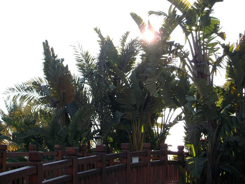 Anlage Hotel Royal Dragon