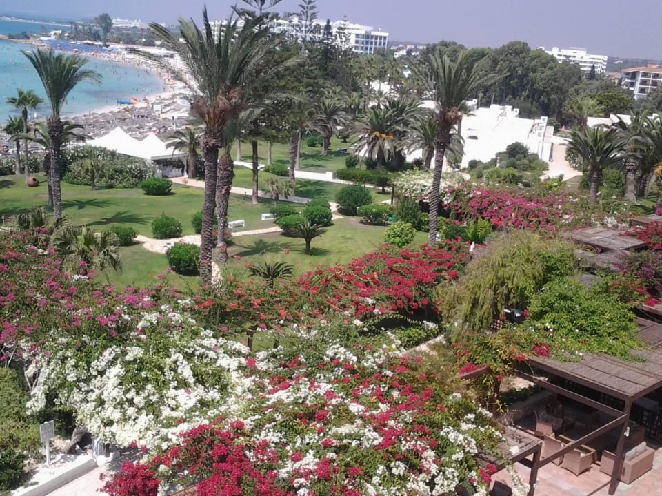 Gepflegte Gartenanlage Hotel Nissi Beach Resort