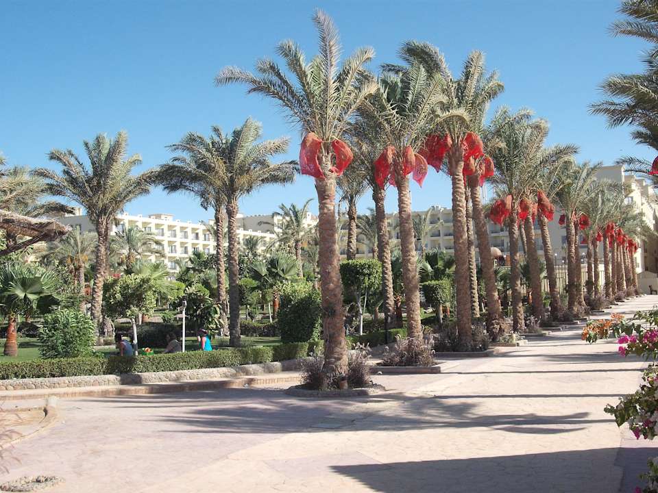 Palms Riviera Aqua Park Resort