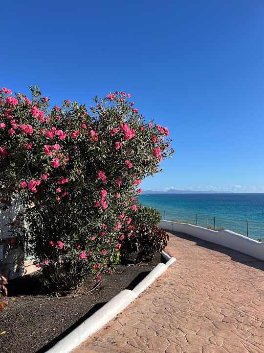 Gartenanlage Aldiana Club Fuerteventura