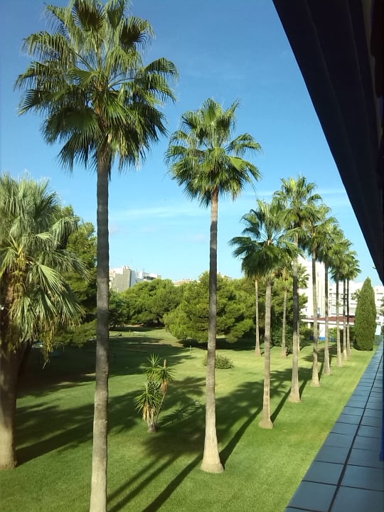 Blick vom Standardzimmer auf den äusseren  Palmengarten (Süd Hotel Parador de Benicarlo