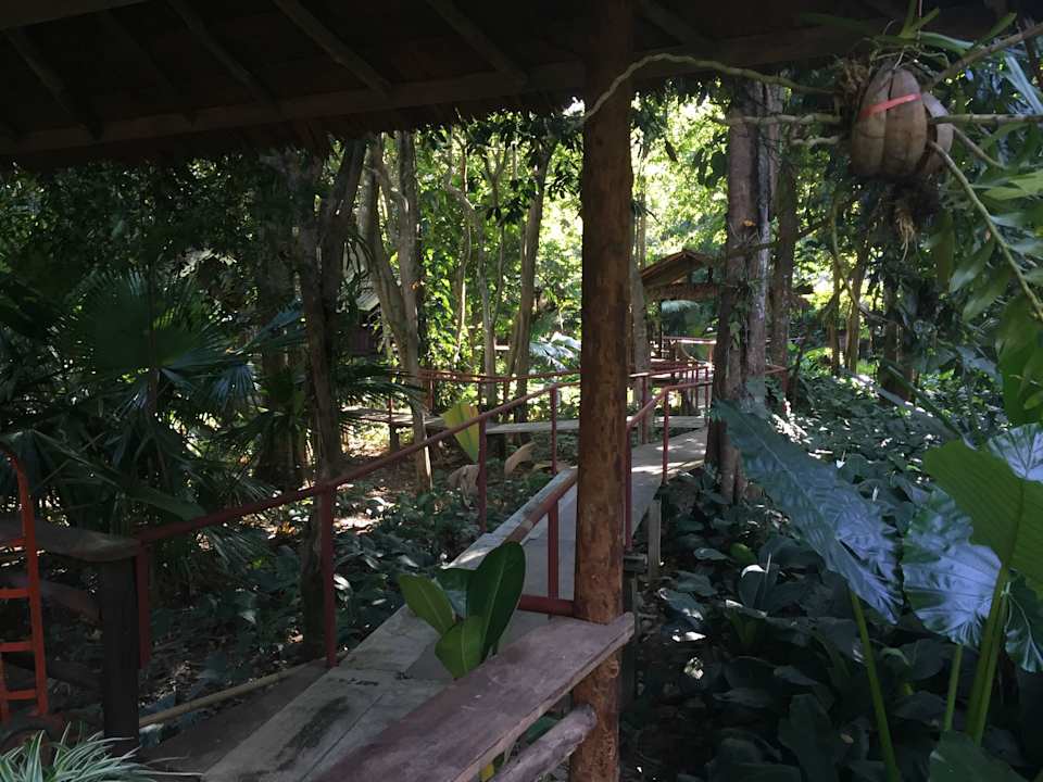 Verbindungswege innerhalb der Anlage Hotel Khao Sok River Cottages