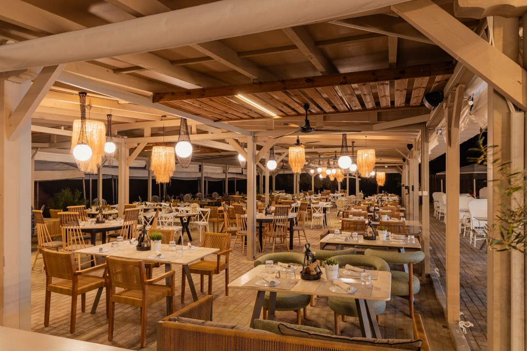 Gastro Blue Dream Palace