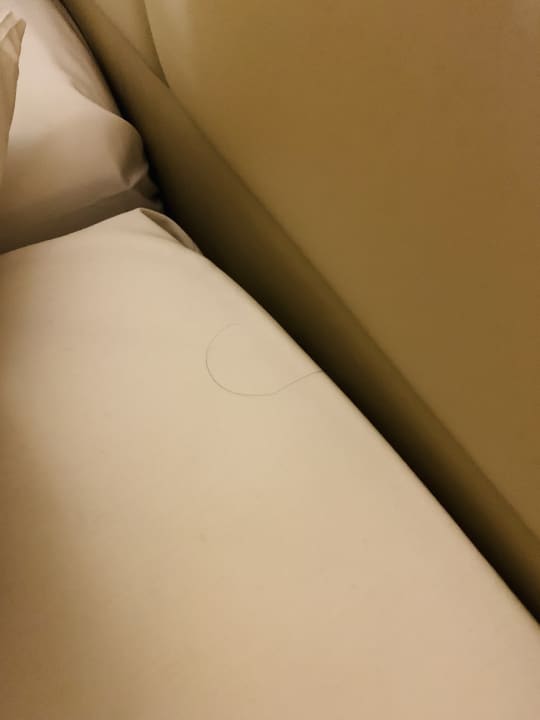 Zimmer Hotel Bayside