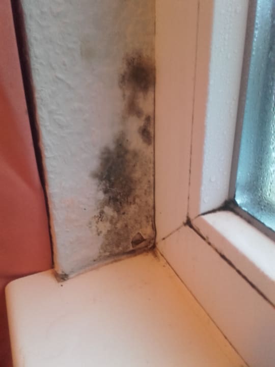 Zimmer Center Parcs Park Bostalsee