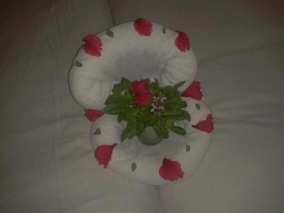 Nette Aufmerksamkeit Ghazala Gardens