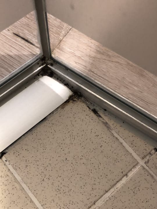 Zimmer Park Inn by Radisson Berlin Alexanderplatz