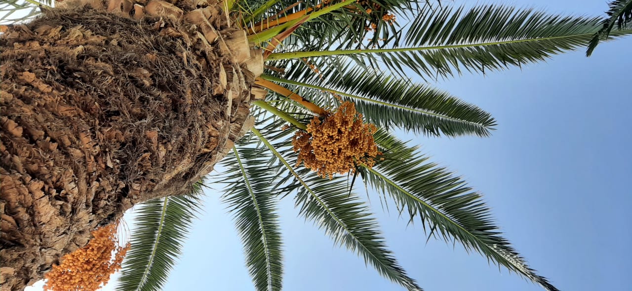 Pool Ekaterini Hotel