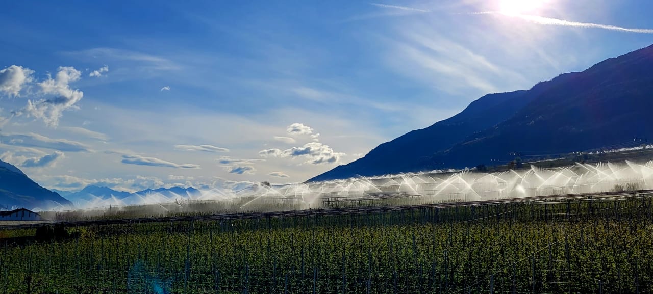 Ausblick Dolce Vita Hotel Jagdhof