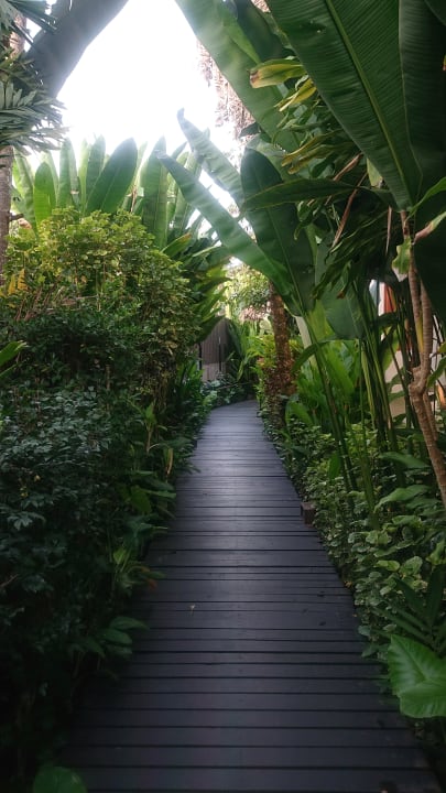 Gartenanlage Bangsak Village