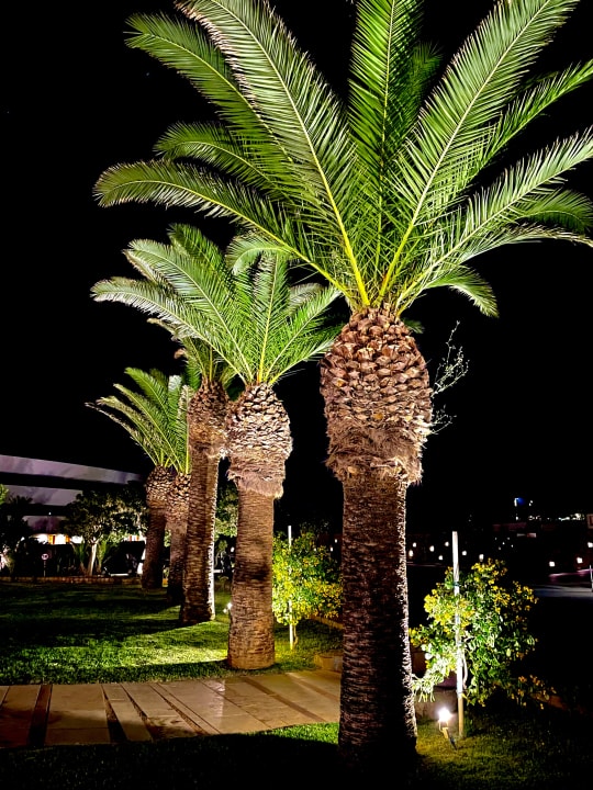 Gartenanlage Lyttos Beach Hotel