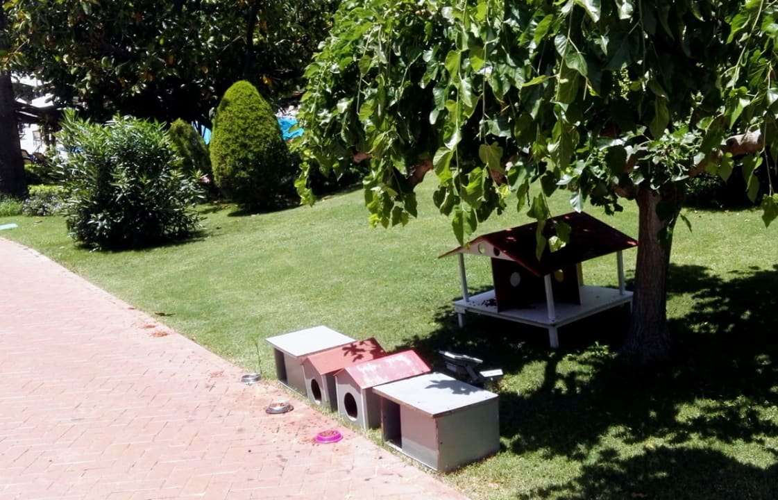 Gartenanlage Side Star Elegance