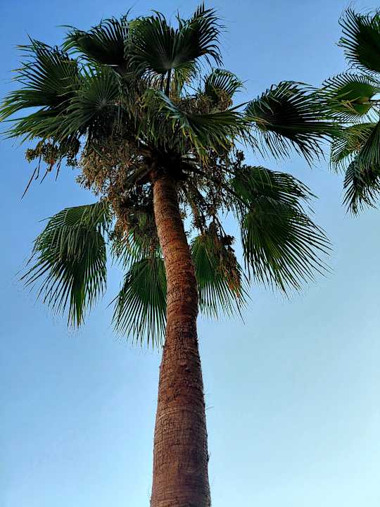 Gartenanlage Diamond Excellence Resort & Spa