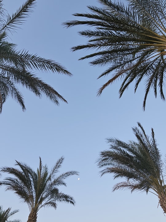 Strand Casa Mare Resort