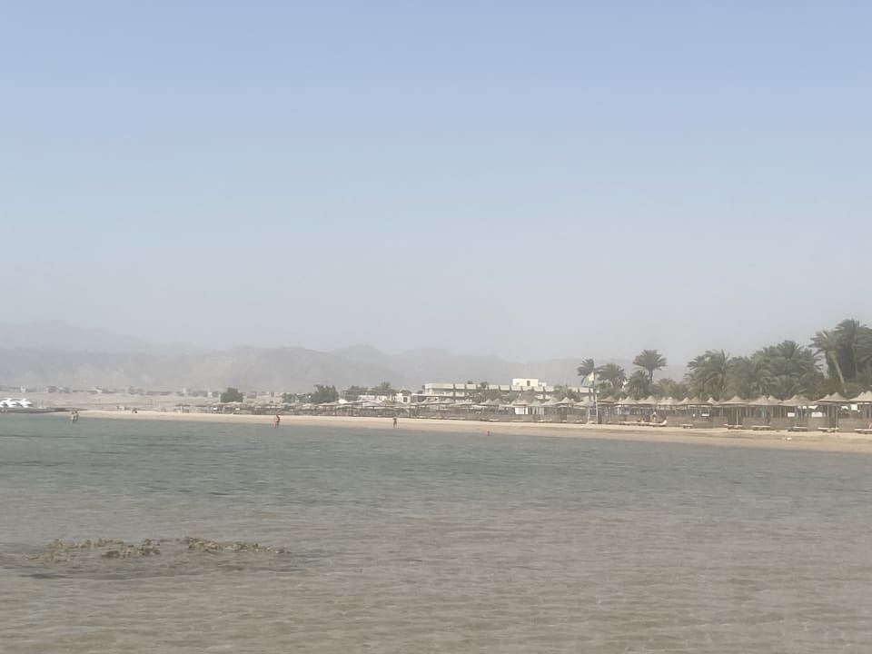 Strand Shams Prestige Abu Soma-Adults Only