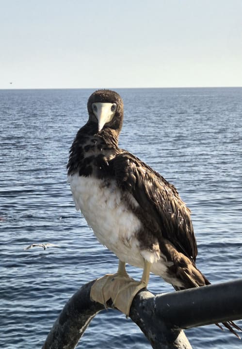 Strand Three Corners Happy Life Beach Resort