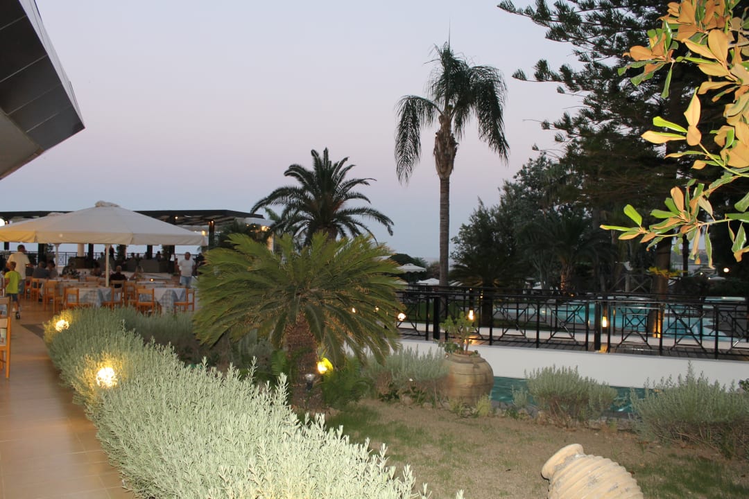 Gartenanlage Hotel Calypso Beach